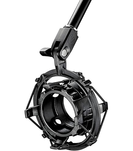 Amazon.com: Audio Technica BP40 Large-Diaphragm Broadcast