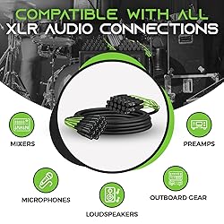 GearIT 16-Channel XLR Snake Cable