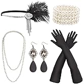 DRESHOW 1920s Great Gatsby Accessories Set for Women Flapper Costume Accessories Feather Headband Roaring 20s Accessories Set