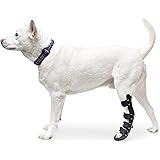 dog achilles tendon brace