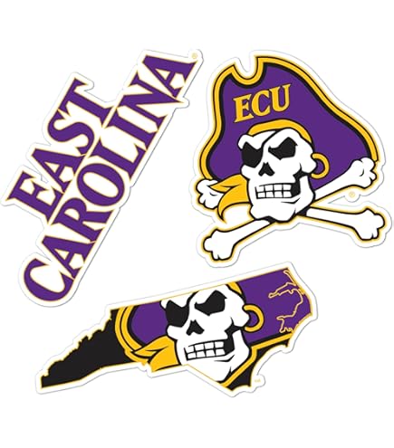 Desert Cactus Southwestern University Sticker SU Pirates