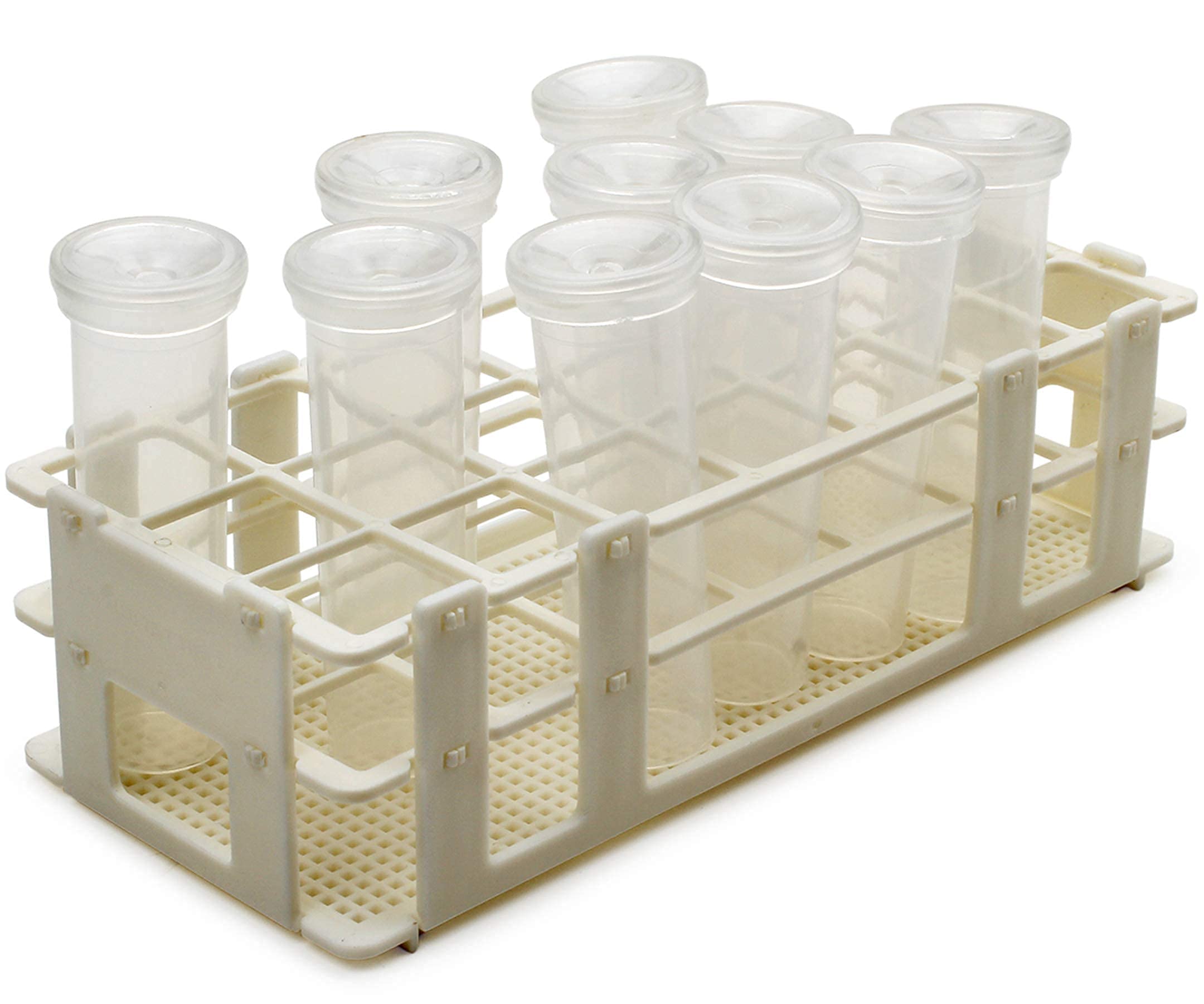 Insect and Butterfly Habitat Cage Terrarium Pop-up 23.6 Inches Tall with 10Pcs 60Ml Floral Tubes with Rack Holder for Milkweed Cuttings