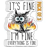 THATS IT! Its Fine Everything is fine Stickers | Decal Car Bumper | Indoor Outdoor Window Sticker | Vinyl Decal for Laptop, iPad | Waterproof & Long Lasting | TI – 351