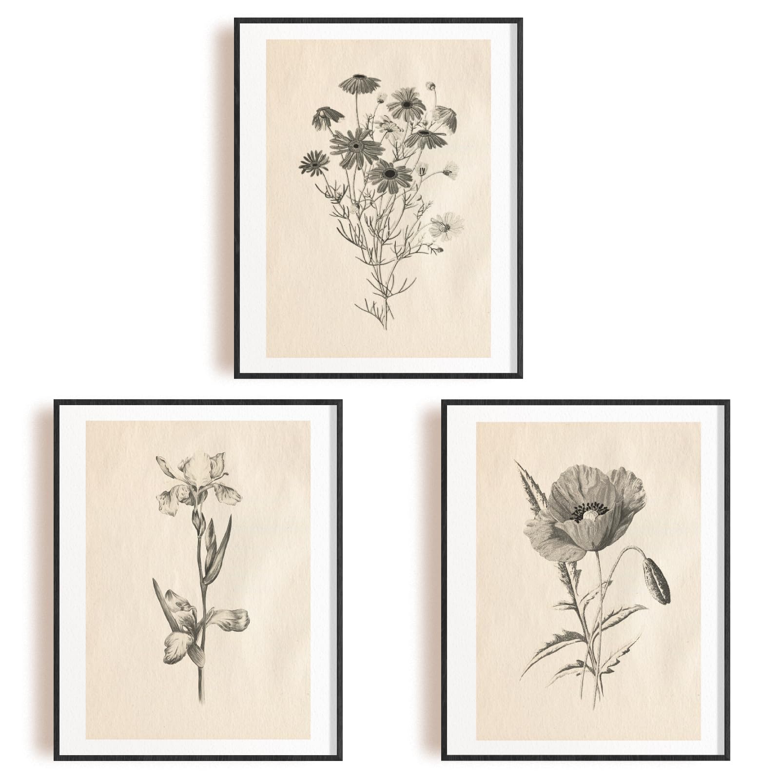 INFUNLY 6pcs Vintage Plants Wall Art Prints Set Botanical Pictures Poster 8"×10" Boho Floral Artwork Decor Unframed Canvas Poster Prints Aesthetic Wall Art for Bedroom Kitchen Living Room Home