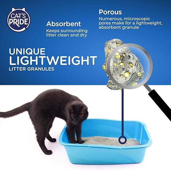 CAT’S PRIDE LIGHTWEIGHT CLUMPING LITTER: FLUSHABLE – POWERFUL ODOR CONTROL – SCENTED, 10 POUNDS