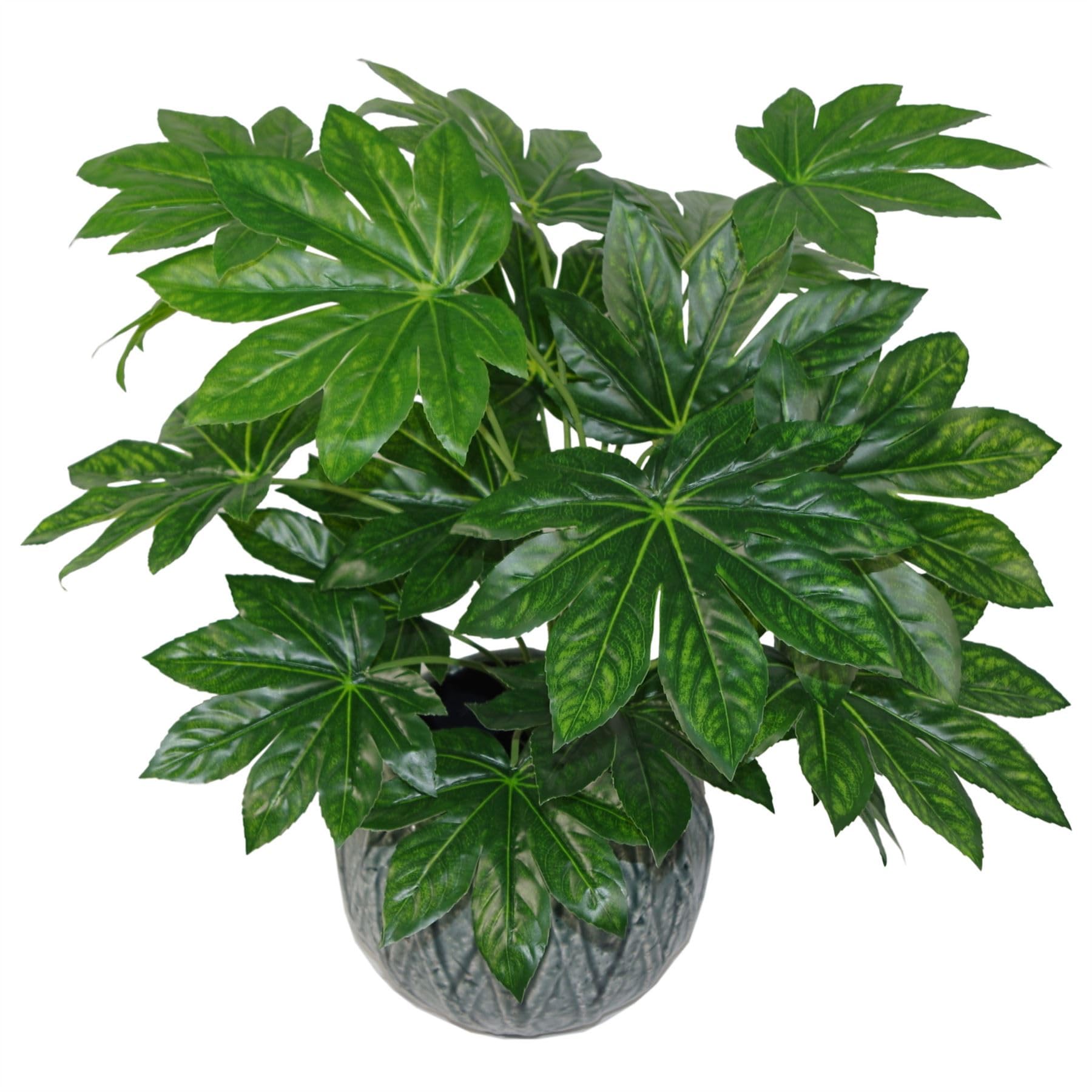 Leaf Design UK Realistic Artificial Foliage Plant with Pot, Aralia, 60cm