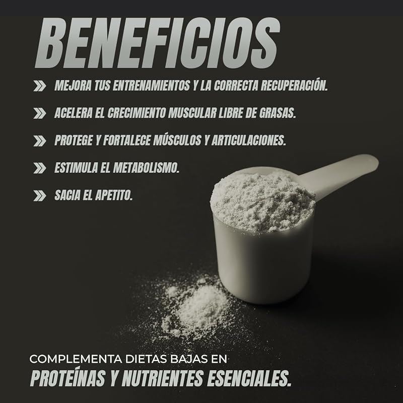 Whey protein isolate 100% pura | Proteine whey isolate + collagene + magnesio | Proteine del siero di latte isolate per lo sviluppo muscolare | Massa muscolare pulita | 30 dosi (Vanillegeschmack)
