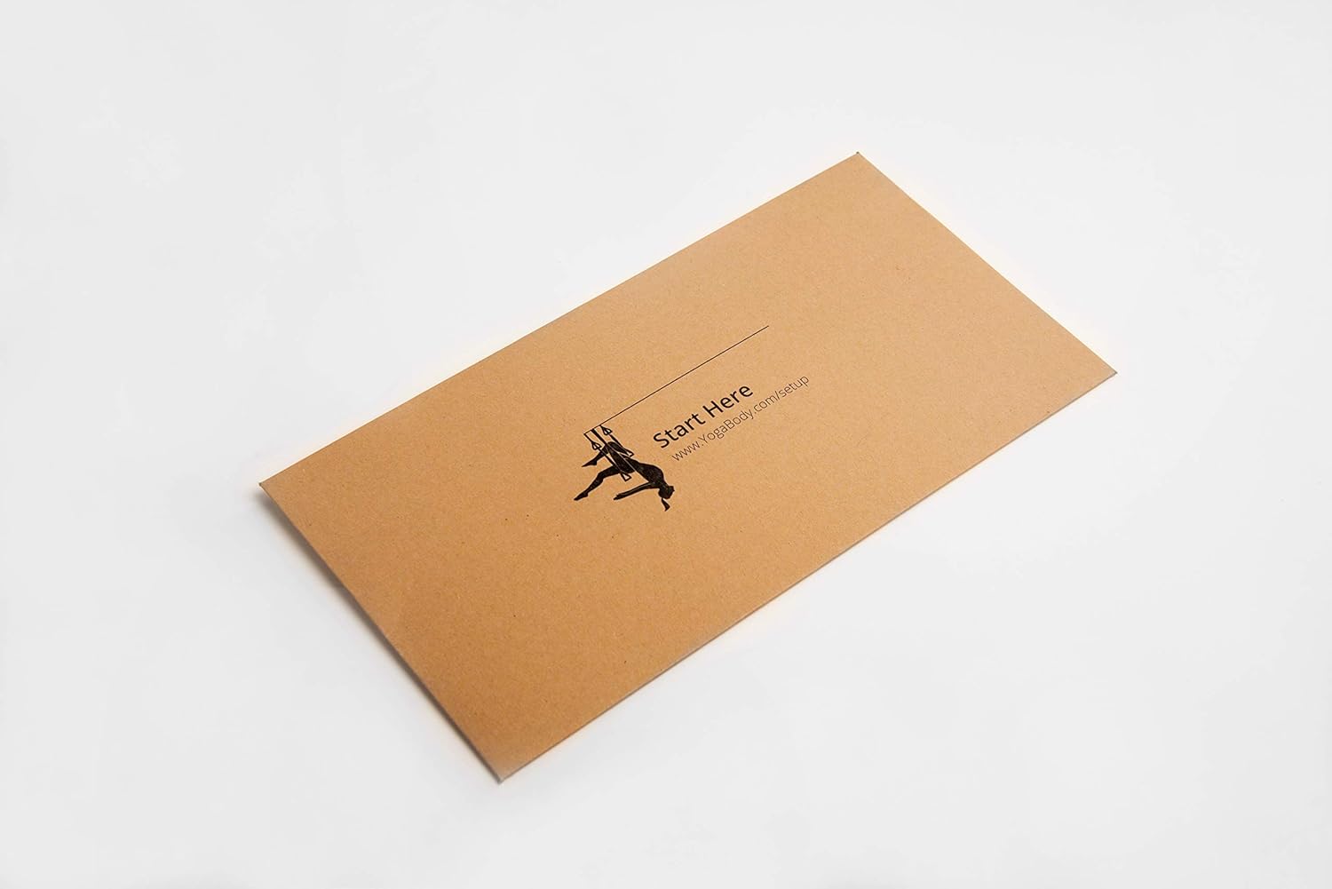 Yogabody Yoga Trapeze Pro - Yoga Inversion Swing with Free Video Series, Aqua : Sports & Outdoors