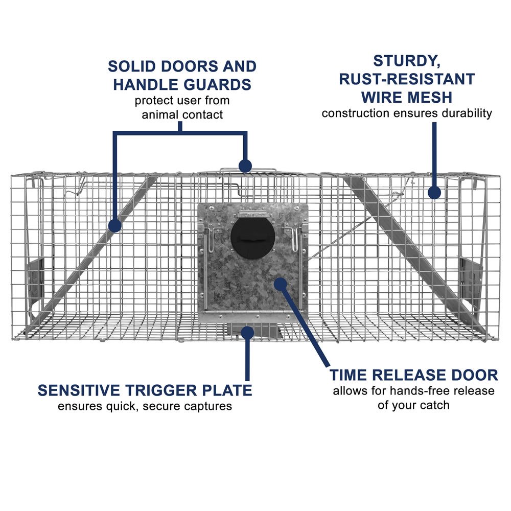 Amazoncom Havahart 998 Large 2 Door Safe Release Humane Live