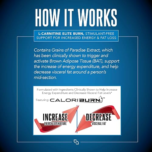 SIRENLABS L-Carnitine Elite Burn Liquid Keto Fat Burner and Metabolism Activator - Fat Loss Support Keto Friendly Weight Loss Increase Energy-Stimulant Free - Lemon Lime 3000mg (32 Servings) in Kenya