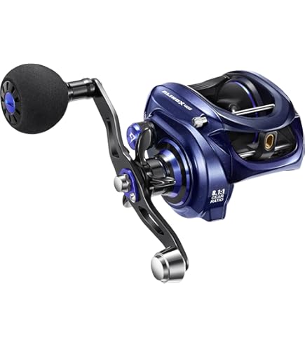 Amazon.com : Daiwa LX300H Lexa Baitcasting Reel : Sports & Outdoors