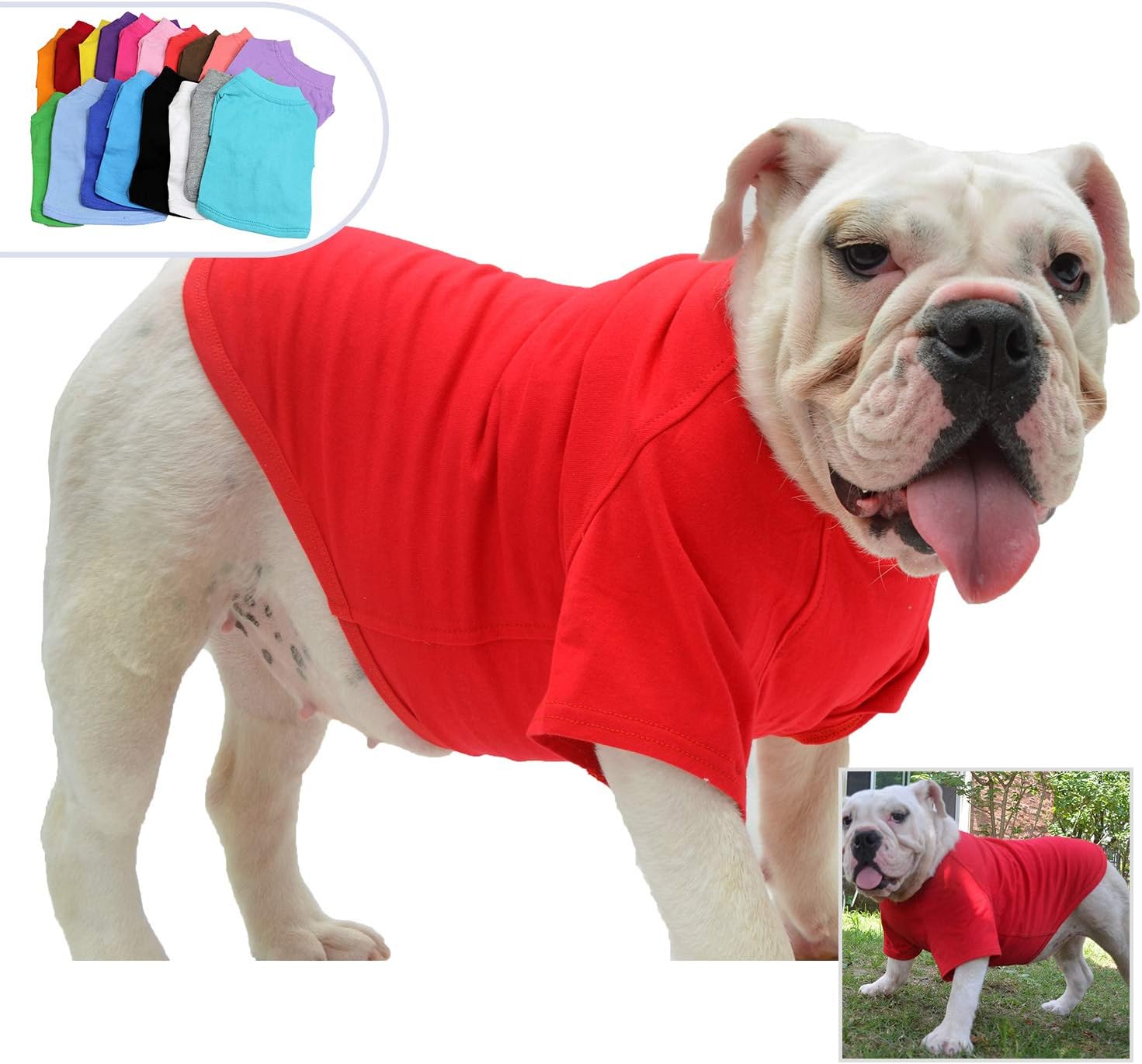 british bulldog clothes for dogs