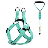 Pawaboo Dog Leash Harness Set, Durable Adjustable