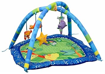 happy space play gym