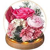 Double Blessing of Real Rose and Real Natural Healing Crystal, Preserved Flowers Glass Dome with LED,Rose Gift for Women,Preserved Rose in Black Gift Box with Card,Romantic Glass Rose for Birthday