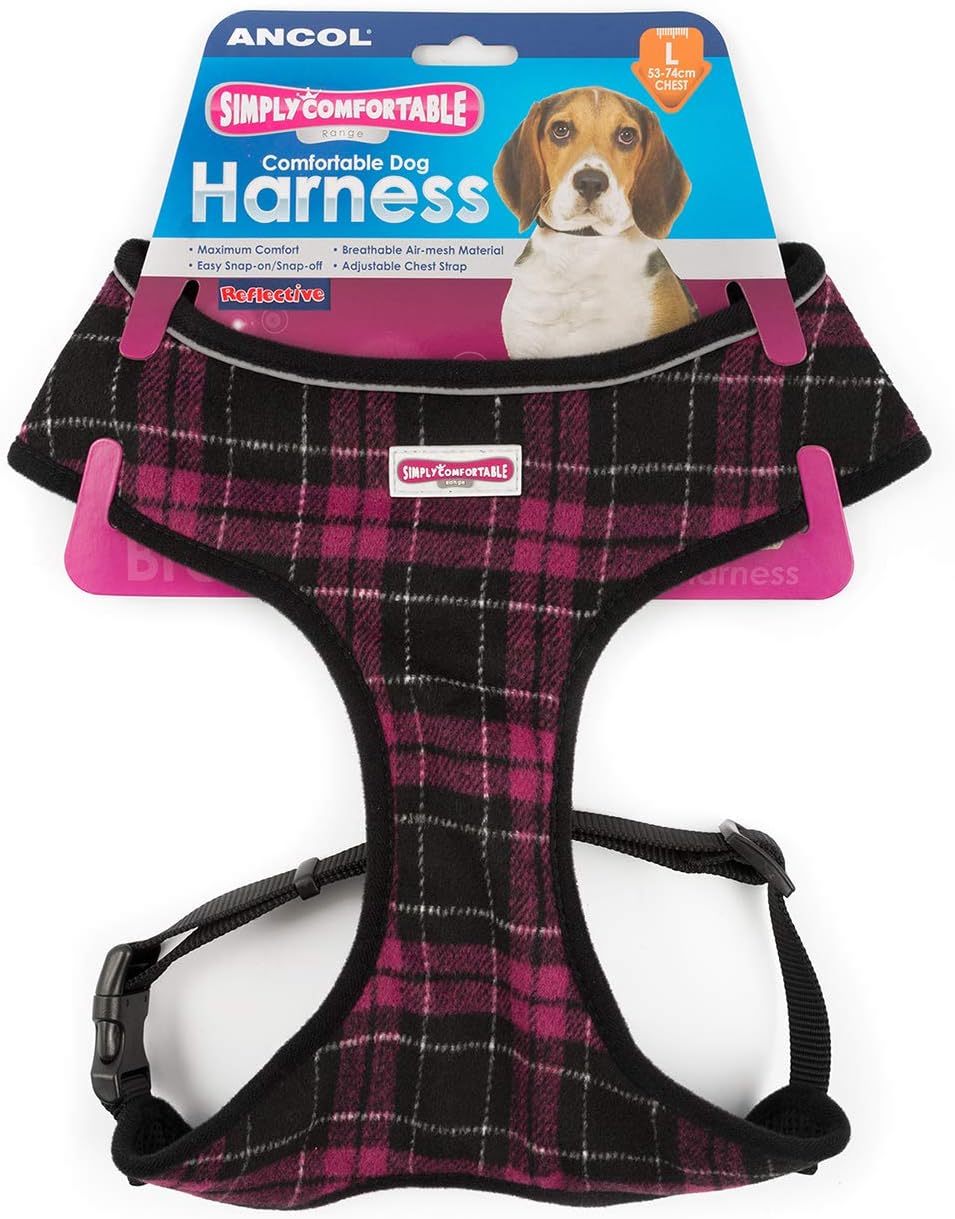 mini plastic aquarium