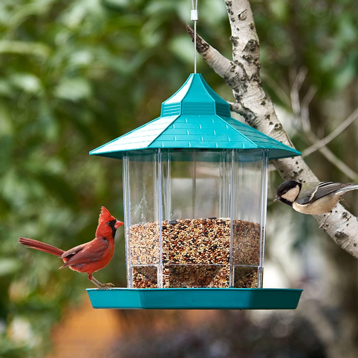 HARXING Wild Bird Feeder, Panorama Bird Feeder Hanging for Garden Yard Outside Decoration (Green) : Garden & Outdoor