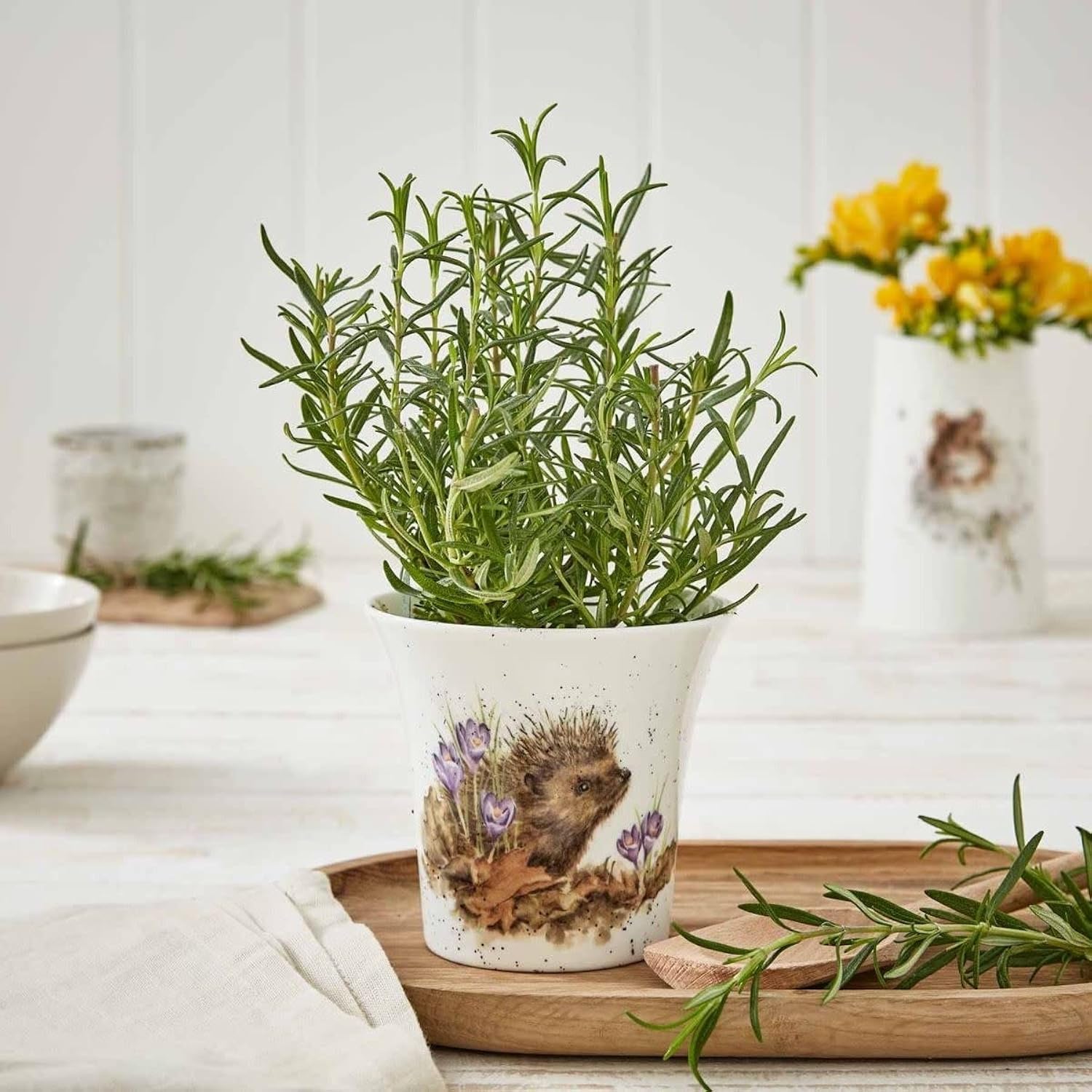 Wrendale Designs - 'New Beginnings' Herb Pot