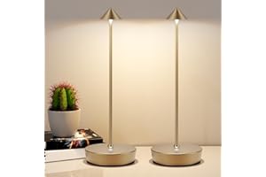 YIKUI 2 Pack Cordless Table Lamp, 6000mAh Rechargeable LED Battery Powered Lamp,3 Color Stepless Dimming Touch Control Lamp,I