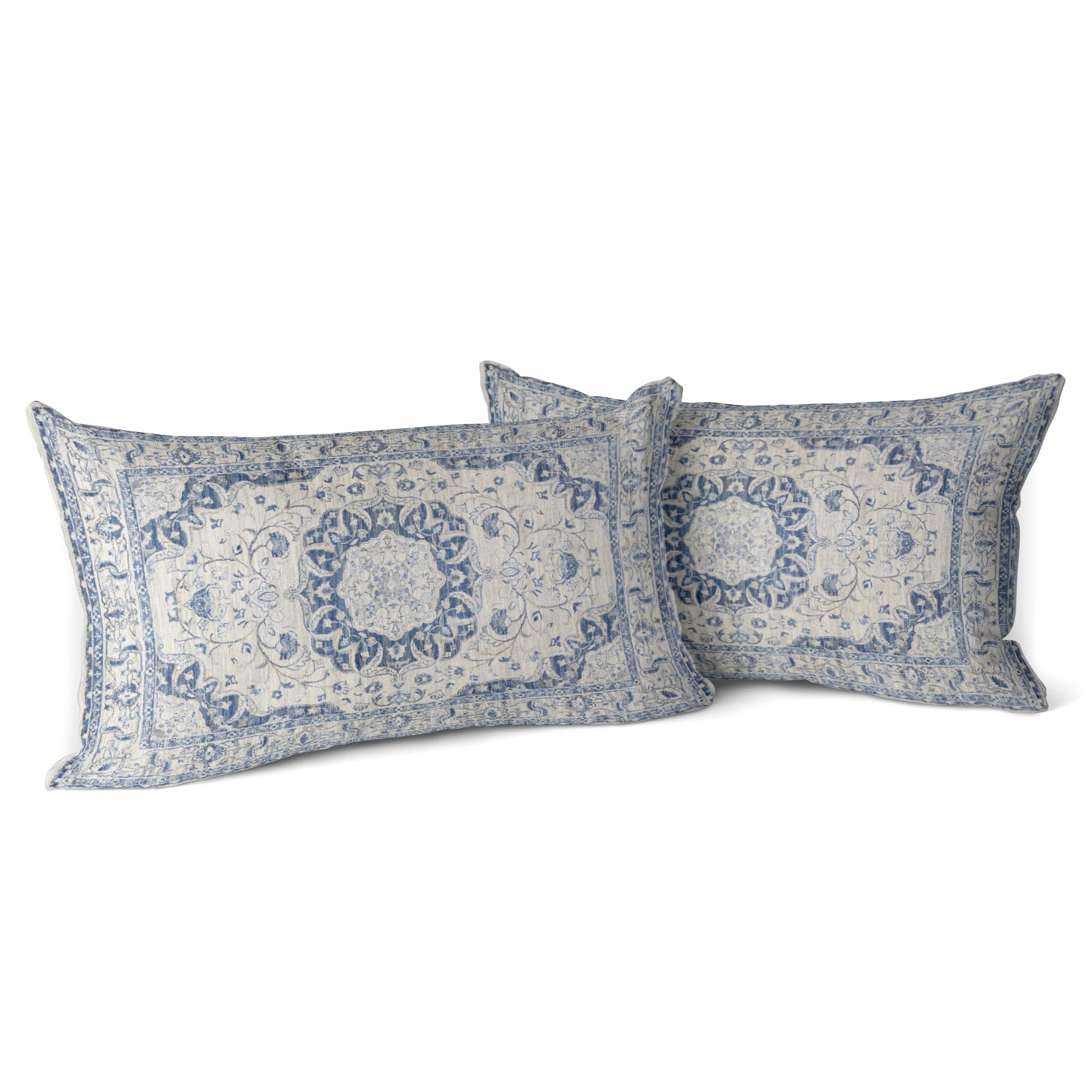 Snylcce Boho Throw Pillow Covers Set of 2 - Lightsteel Blue Antique & Vintage Design, Double-Sided Pattern - Soft Cushion Covers for Garden Couch, Sofa, Bed - Decorative 12x20 Inch Pillowcases