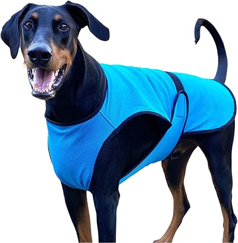 Cooling shirt for dogs Clearance