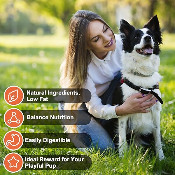 MON2SUN CHICKEN JERKY FOR DOGS MADE WITH REAL CHICKEN BREAST DOG SNACKS, HIGH PROTEIN & GRAIN FREE TRAINING TREATS FOR SMALL MEDIUM AND LARGE DOGS 21 OUNCE