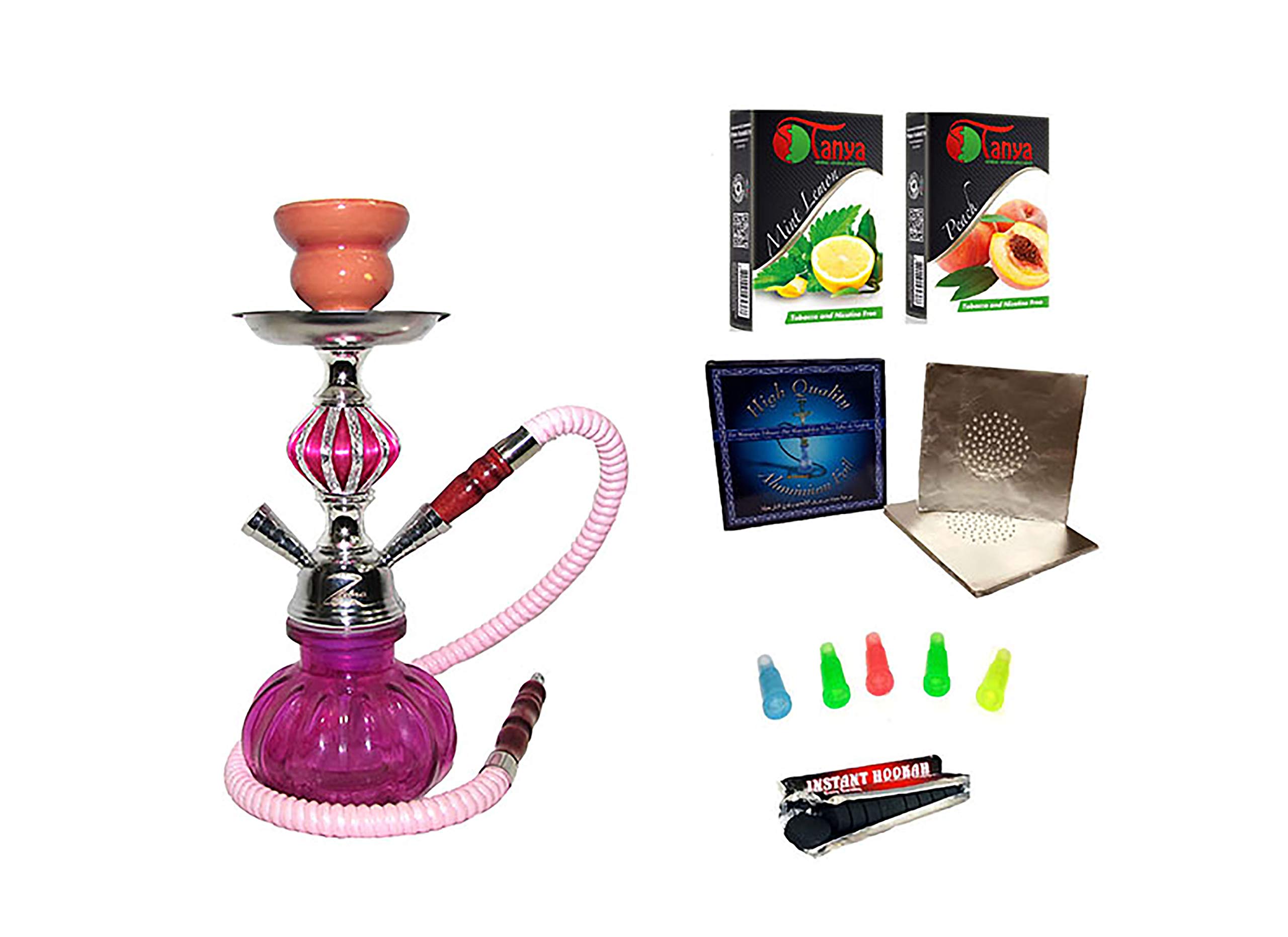 Zebra Smoke11" 1 Hose Pumpkin Hookah With Carrying Cage Combo Kit Set Instant Charcoal, Hose Tips, Pre Poked Foil (Pink)