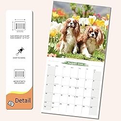 2025-2026 Wall Calendar Cavalier King Charles