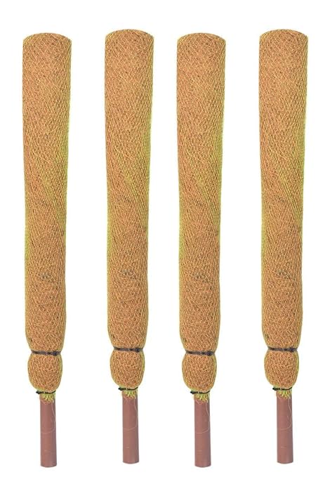 Bhajanlal Greenery Coco Pole -Moss and Coir Stick for Indoor, House and Plant Creepers Support(1 Piece) (1 FEET)