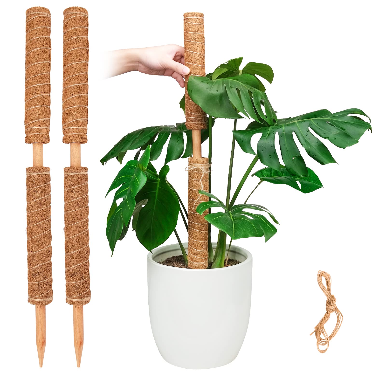 Pisol Moss Pole for Plants Monstera, Extendable Plant Sticks Support, Plant Stakes for Indoor Potted Plant, 15.7'' Coco Coir Pole Plant Trellis for Sphagnum, Pothos and Other Climbing Plants(4 PCS)