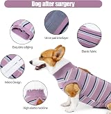 Jodsen Recovery Suit for Dog Purple Stripes XL Elastic Anti-Lick Pajamas view 3