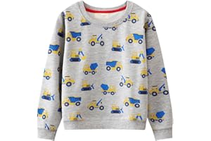 BTGIXSF Little Boys Cotton Crewneck Cartoon Long Sleeve Pullover Sweatshirts Tops