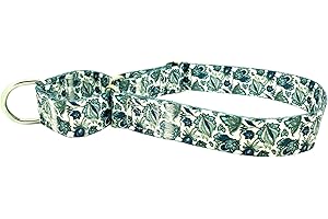 Pimaodog Heavy Duty Nylon Dog Collar, Adjustable Martingale Dog Collar for Walking Training Boy and Girl Dogs Medium Large Dogs (M:36-45CM, Blue)