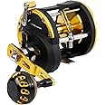 Burning Shark Trolling Reel Saltwater Level Wind Reels, Drag Reels Boat Fishing Ocean Fishing for Sea Bass Grouper Salmon