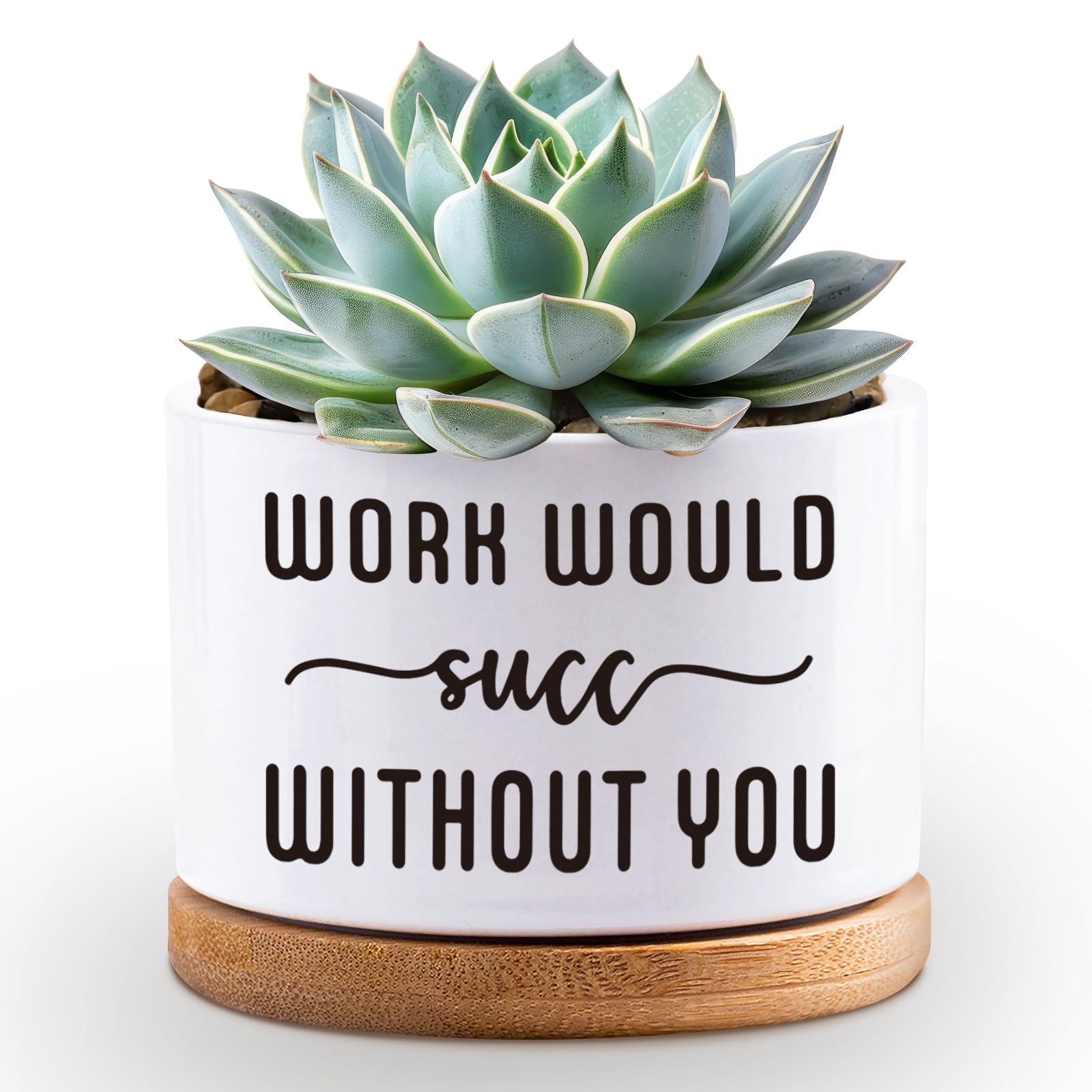 Succulent Plant Pots 3.5 inch Ceramic Succulents Planter, Funny Cute Flower Planter Pot Gifts with Drainage Bamboo Tray-Indoor House Plant Pots (Plant Not Included) (Work Would Succ Without You)
