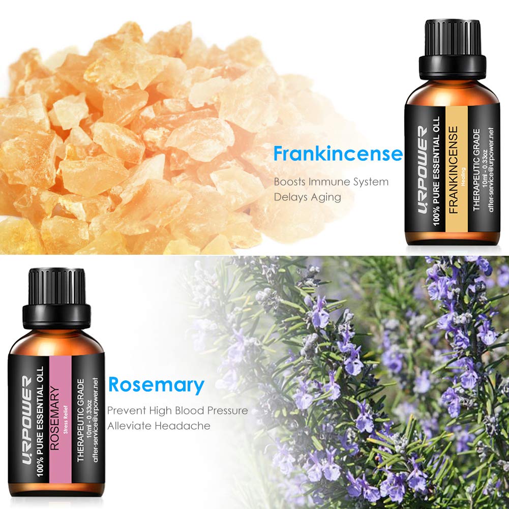 URPOWER Essential Oils Top 8 Aromatherapy Essential Oils 100% Pure Therapeutic Grade Essential Oils Set Lavender/Peppermint/Tea Tree/Orange/Eucalyptus/Lemongrass/Frankincense/Rosemary: Health & Personal Care