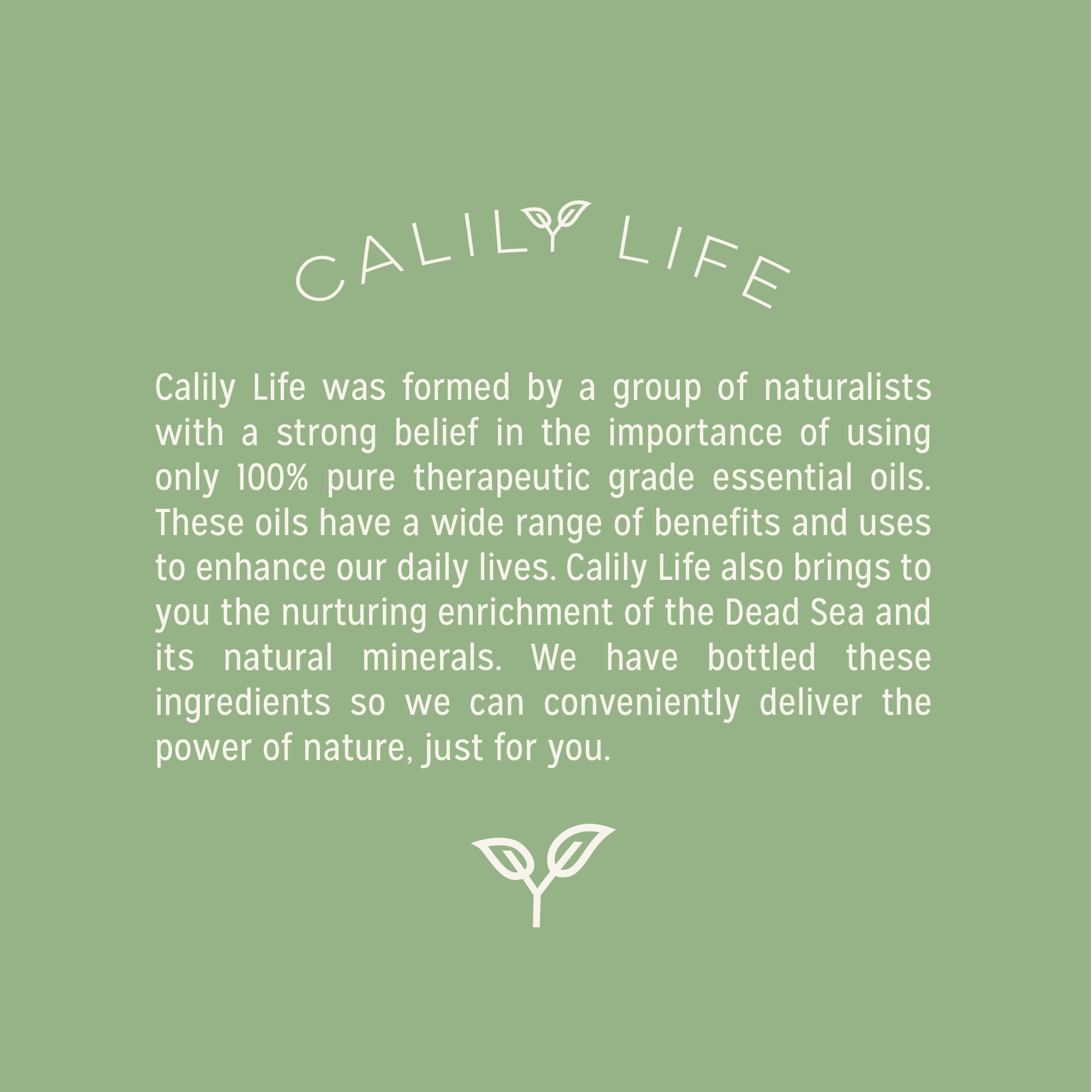 Calily Life Organic Detoxifying Charcoal + Eucalyptus + Peppermint Face and Body Wash, 33. 8 Oz. – Powerful Cleansing and Refreshing + Therapeutic, Invigorating & Relaxing [ENHANCED]