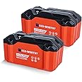 ECO-WORTHY 2 Pack Portable 12V 20AH LiFePO4 Battery, Lithium Deep Cycle Rechargeable Battery, Built-in BMS, 4000+ Cycles,Perfect for Outdoor Camping Fishing Marine Trolling Motor Fishfinder RV