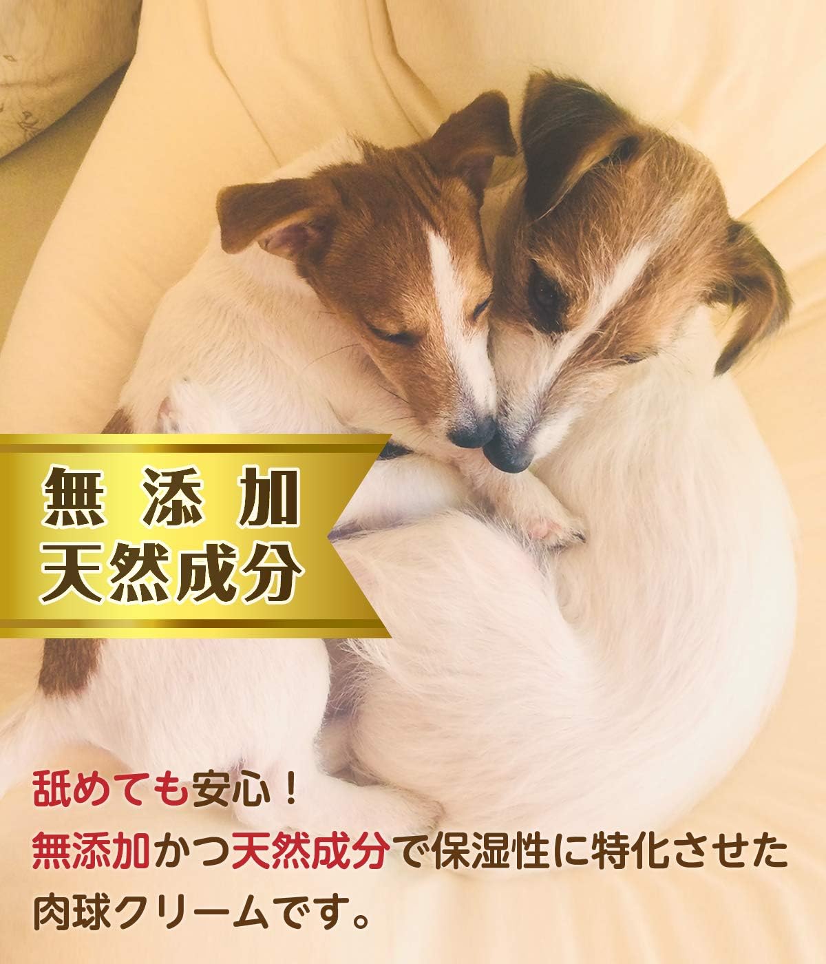 Amazon Pelo S Balm 15ｇ 添加物不使用 天然由来成分なので舐めても安心です 肉球クリーム 無添加 自然由来 オーガニック ペットがうれしい無香料仕様 肉球の硬化 角質化予防 犬 猫用 Pelo ペット用品 通販