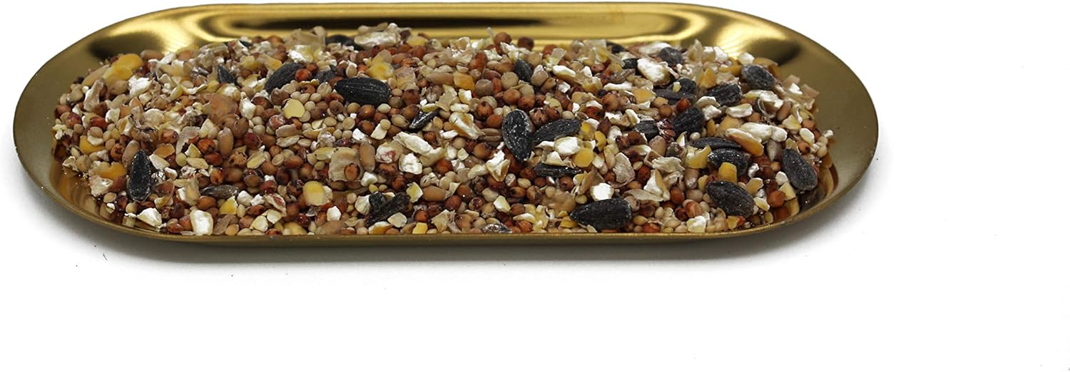 Family Farm and Feed | Four Season | City Blend | Fancy Wild Bird Food | Backyard Songbird| 4 Pounds