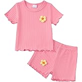 Mioglrie Toddler Baby Girl Summer Clothes Toddler Girls Summer Outfits Short Sleeve T-Shirts Shorts Clothing Set 6M-3Y