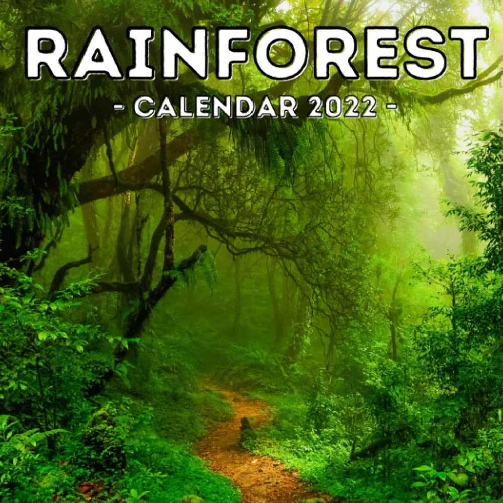 Rainforest Calendar 2022: 16-Month Calendar, Cute Gift Idea For Forest Lovers Women & Men: Press, Condemned Potato: 9798541228359: Amazon.com: Books