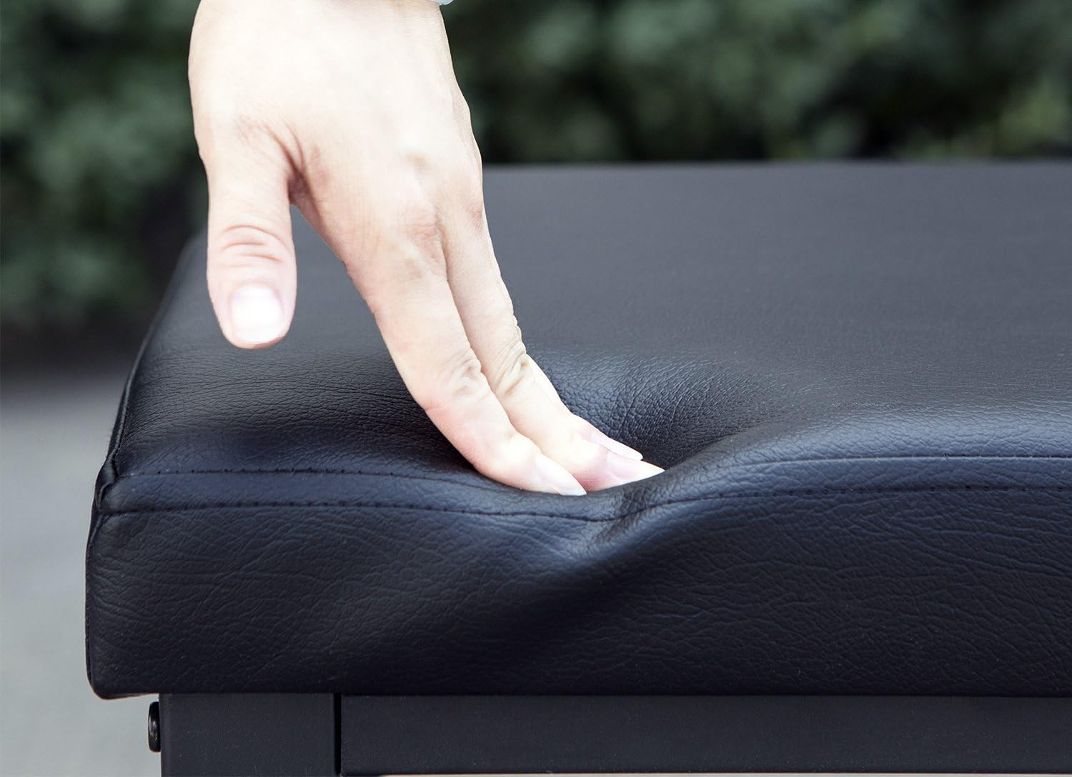 Finnhomy Entryway Shoe Rack with Cushioned Seat, 2 Shelves Storage Bench w/Faux Leather Top Bed Bench, Black: Home & Kitchen