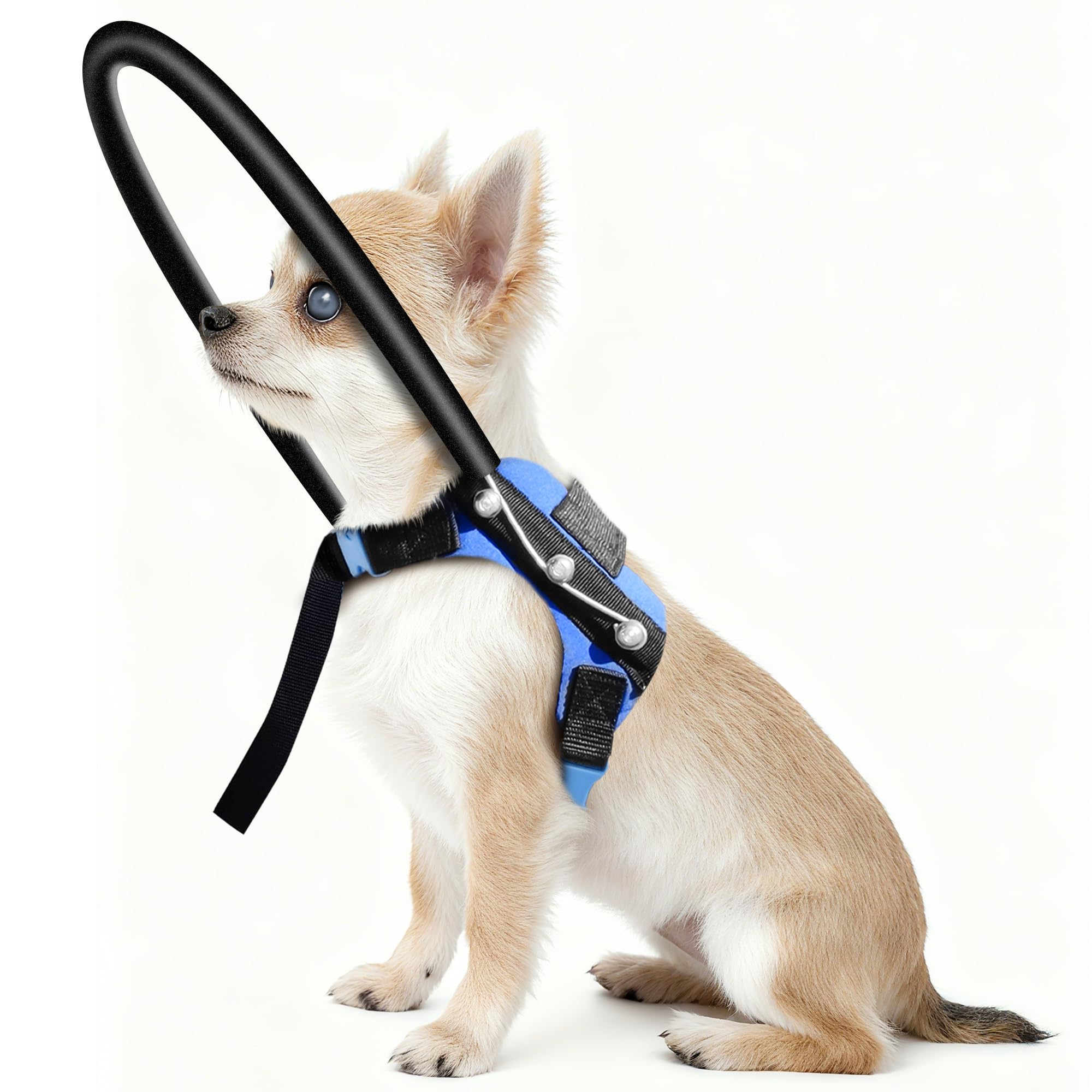 Photo 1 of LetPetRun Blind Dog Halo Harness, Protective Collar and Guiding Device for Blind Dogs, Adjustable Confidence-Building Harness, Safe Navigation Aid for Pets (XS)