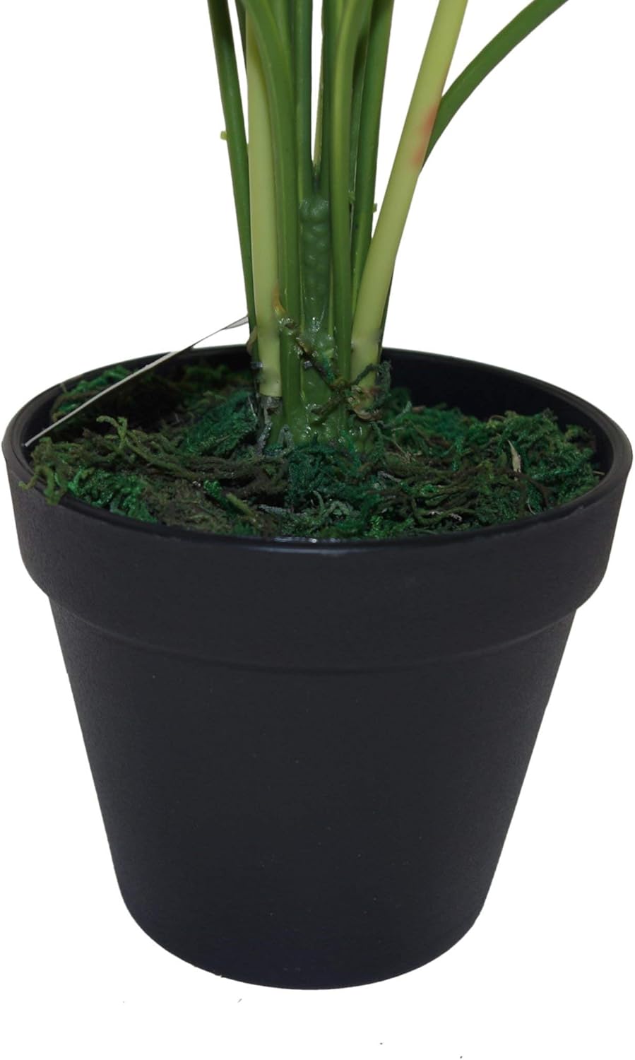 Leaf Design UK Realistic Artificial Foliage Plant with Pot, Aralia, 60cm - Image 3