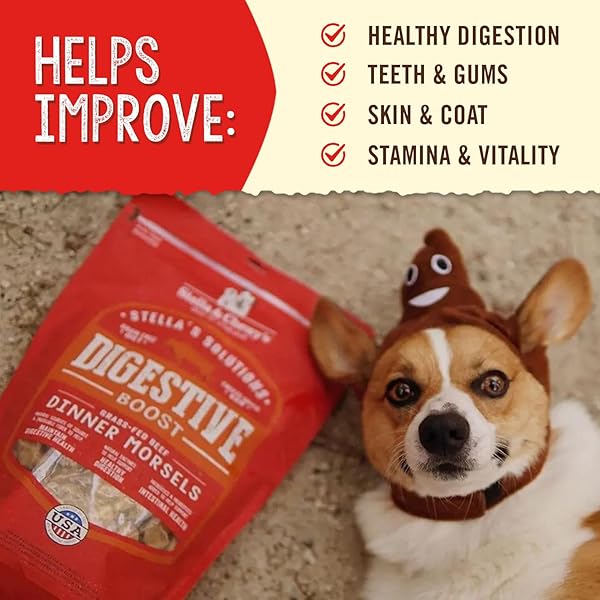 STELLA & CHEWY’S FREEZE-DRIED RAW DOG FOOD FOR DIGESTIVE HEALTH – GRASS-FED BEEF DINNER MORSELS – NATURAL SOLUTION FOR SENSITIVE STOMACH, GAS & FIRM STOOLS – PREMIUM RAW NUTRITION – 13OZ