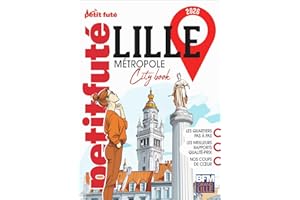 Guide Lille Métropole 2026 Petit Futé (French Edition)