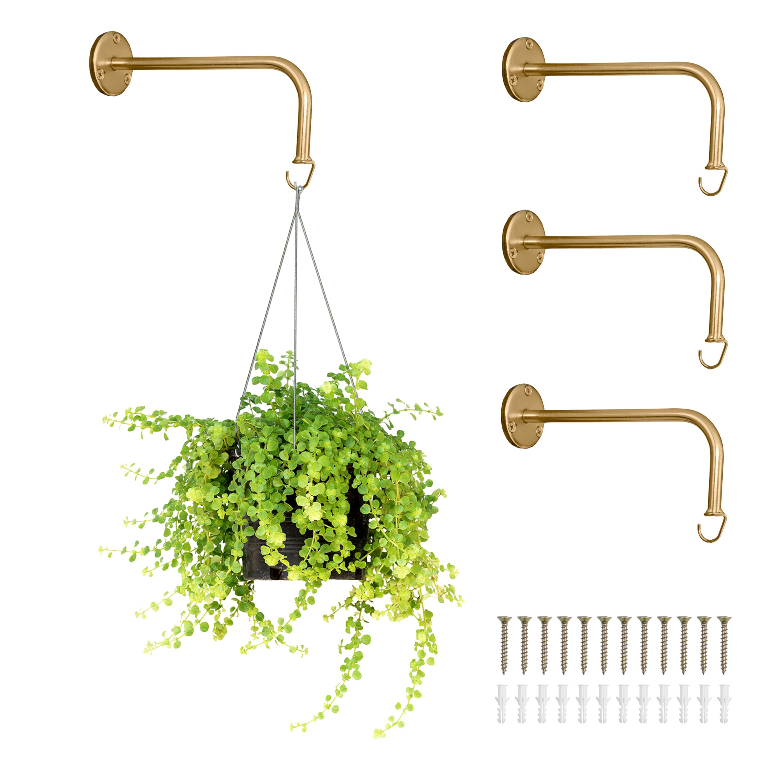 Photo 1 of Ilyapa 4 Pack Metal Plant Wall Hanger Hooks - 7 in. Hook for Hanging, Baskets, and Macrame, Indoor Hangers in Rustic Brass Finish, Wall Planters