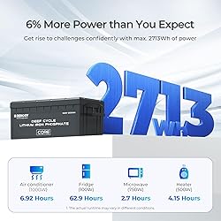 Renogy 12V 200Ah Lithium LiFePO4 Deep Cycle