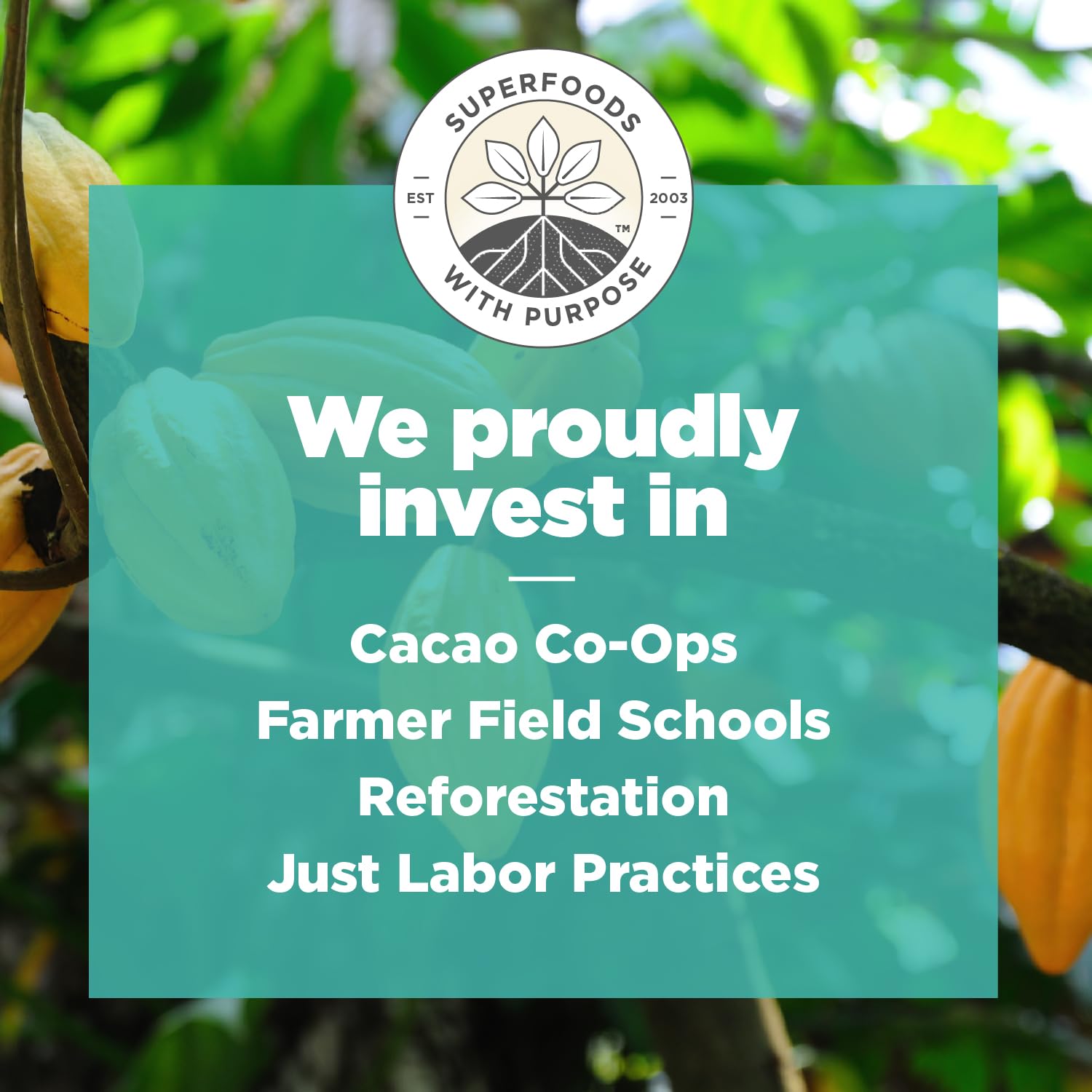 Navitas Organics Cacao Nibs – Unsweetened Dark Chocolate Crunch – Antioxidants, Minerals, Fiber – For Trail Mix, Baking & More – USDA Organic, Fairtrade, Non GMO, Gluten Free, Non-alkalized (16oz. Bag 151 Servings)